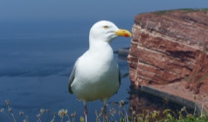 Helgoland