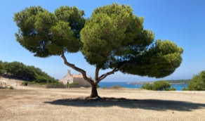 Martigues, Frankreich
